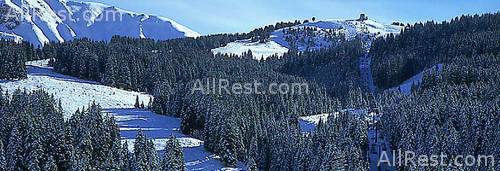 Sporthotel Floralpina 37